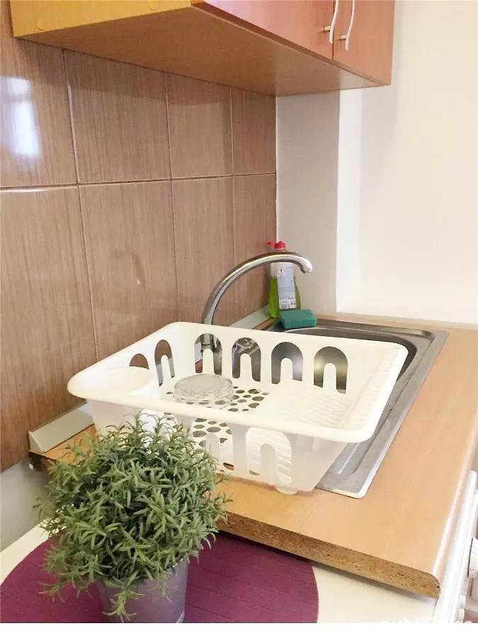 부쿠레슈티 Luxury Apartament 아파트